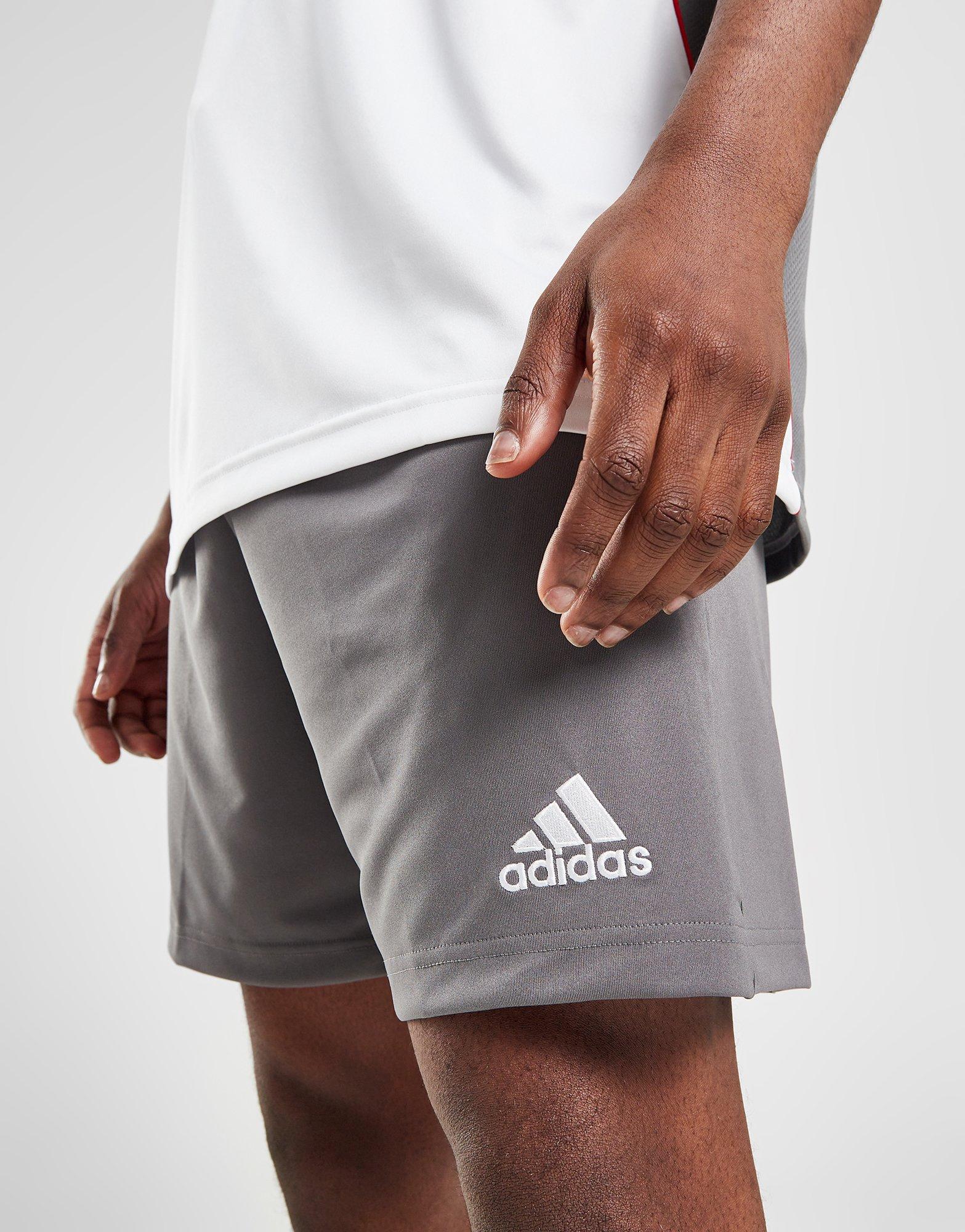 adidas Entrada 22 Shorts