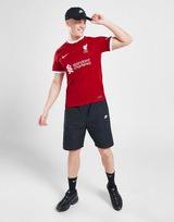 Nike Liverpool 2023/24 Hemmatröja Herr