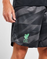 Nike Liverpool FC 2023/24 Goalkeeper Home Shorts