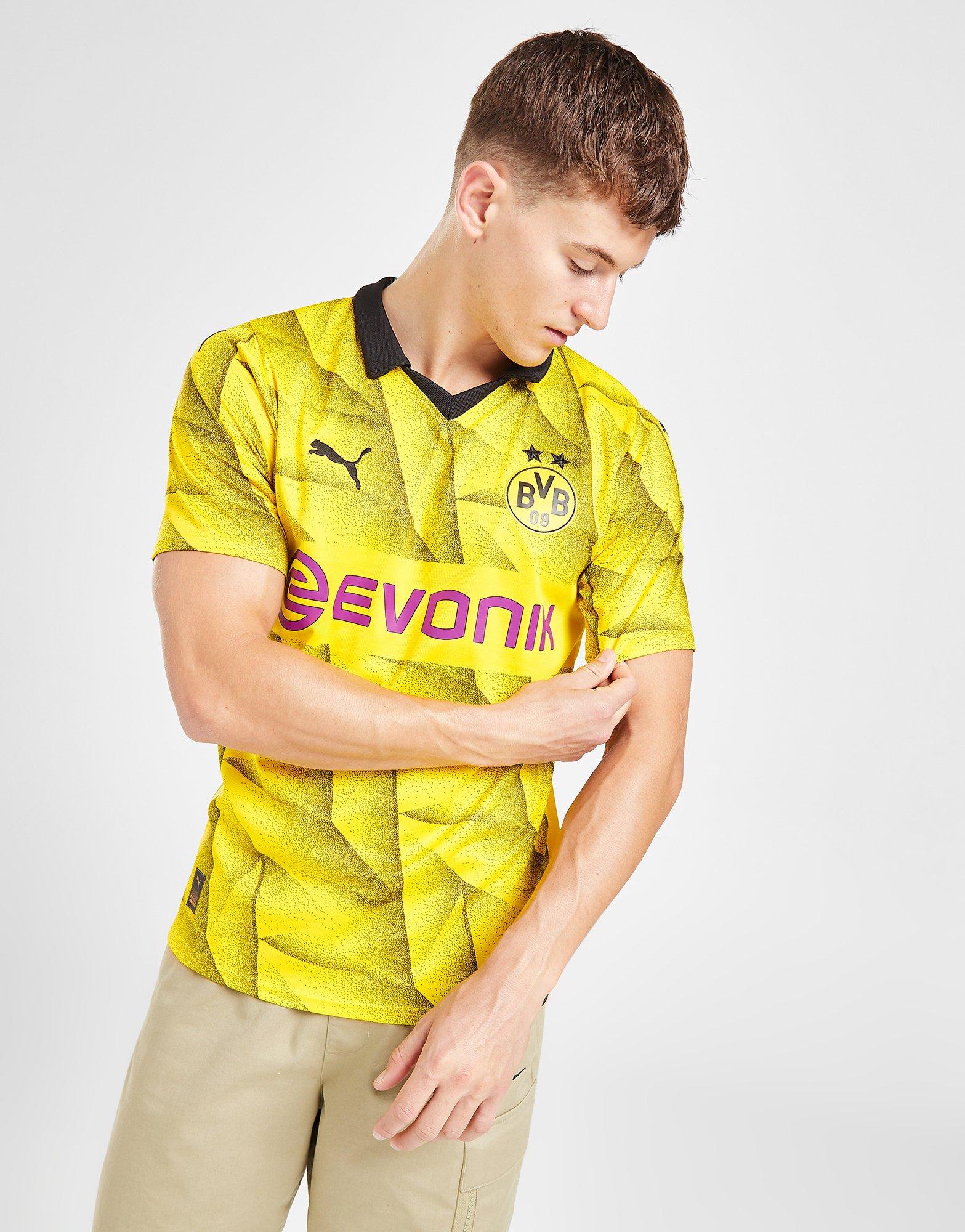 Dortmund 110 best sale year kit