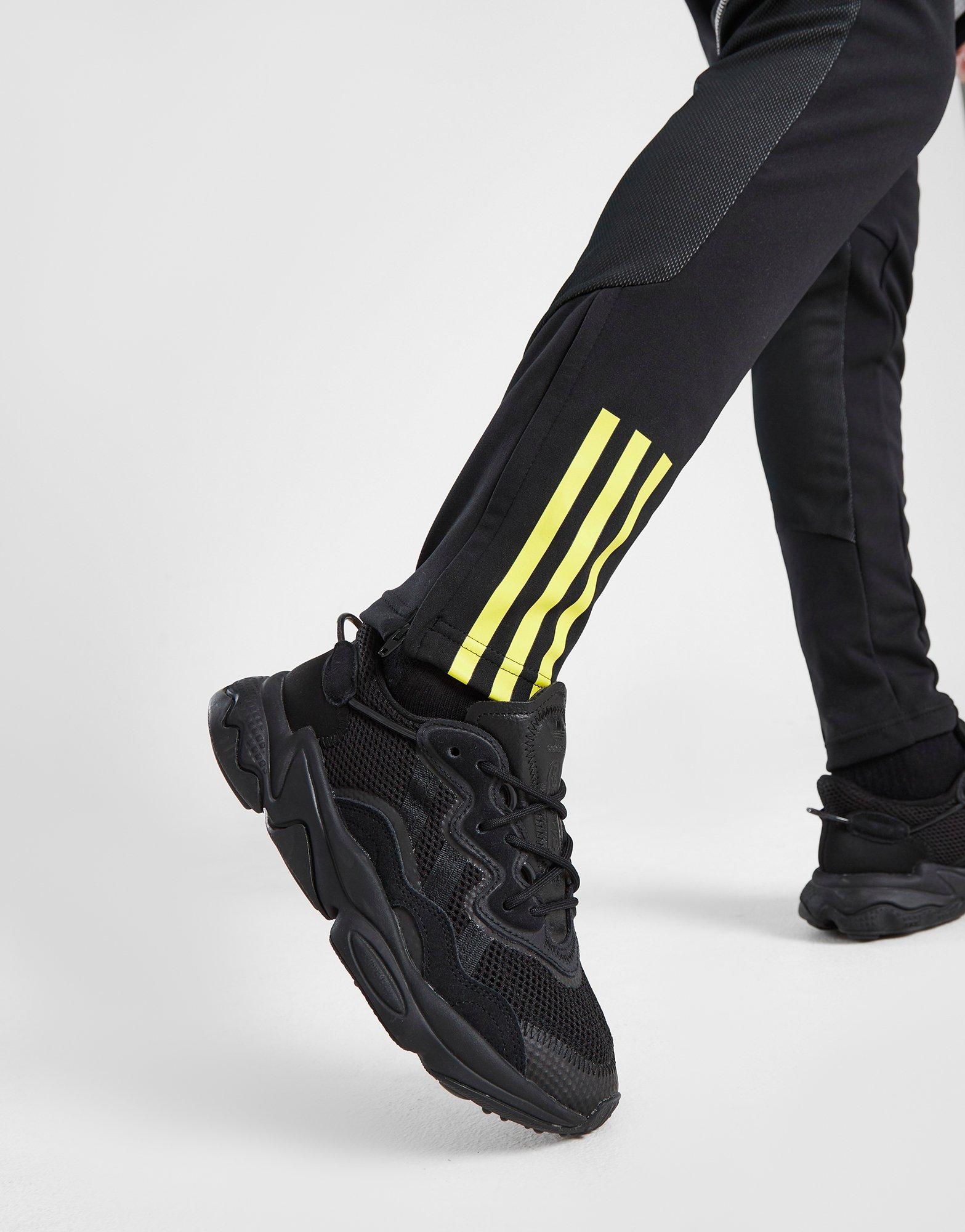 adidas Celtic FC Training Track Pants Junior