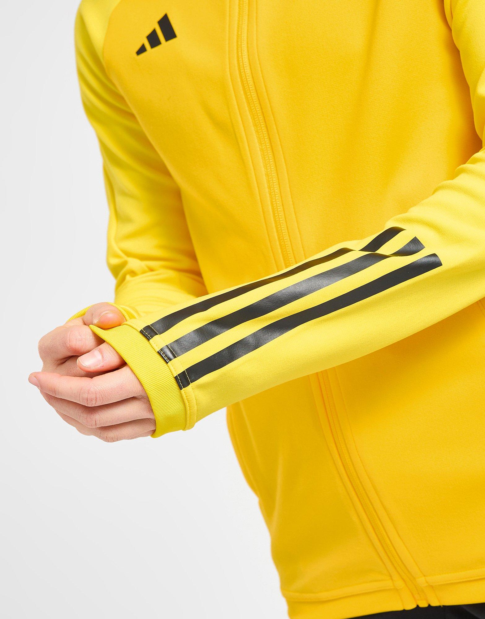 Yellow adidas Celtic FC Track Jacket - JD Sports Global