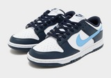Nike Dunk Homme