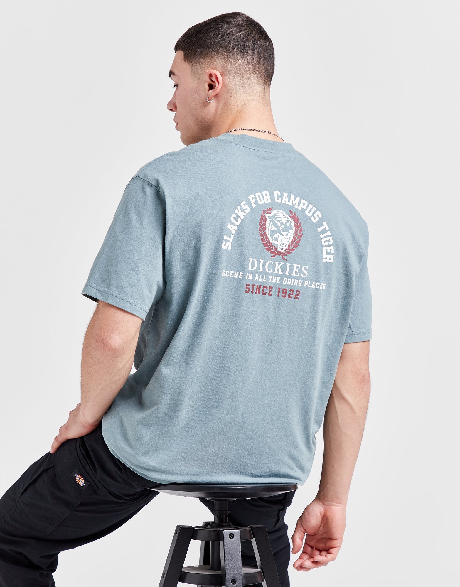 Blue Dickies Westmoreland TShirt JD Sports Ireland