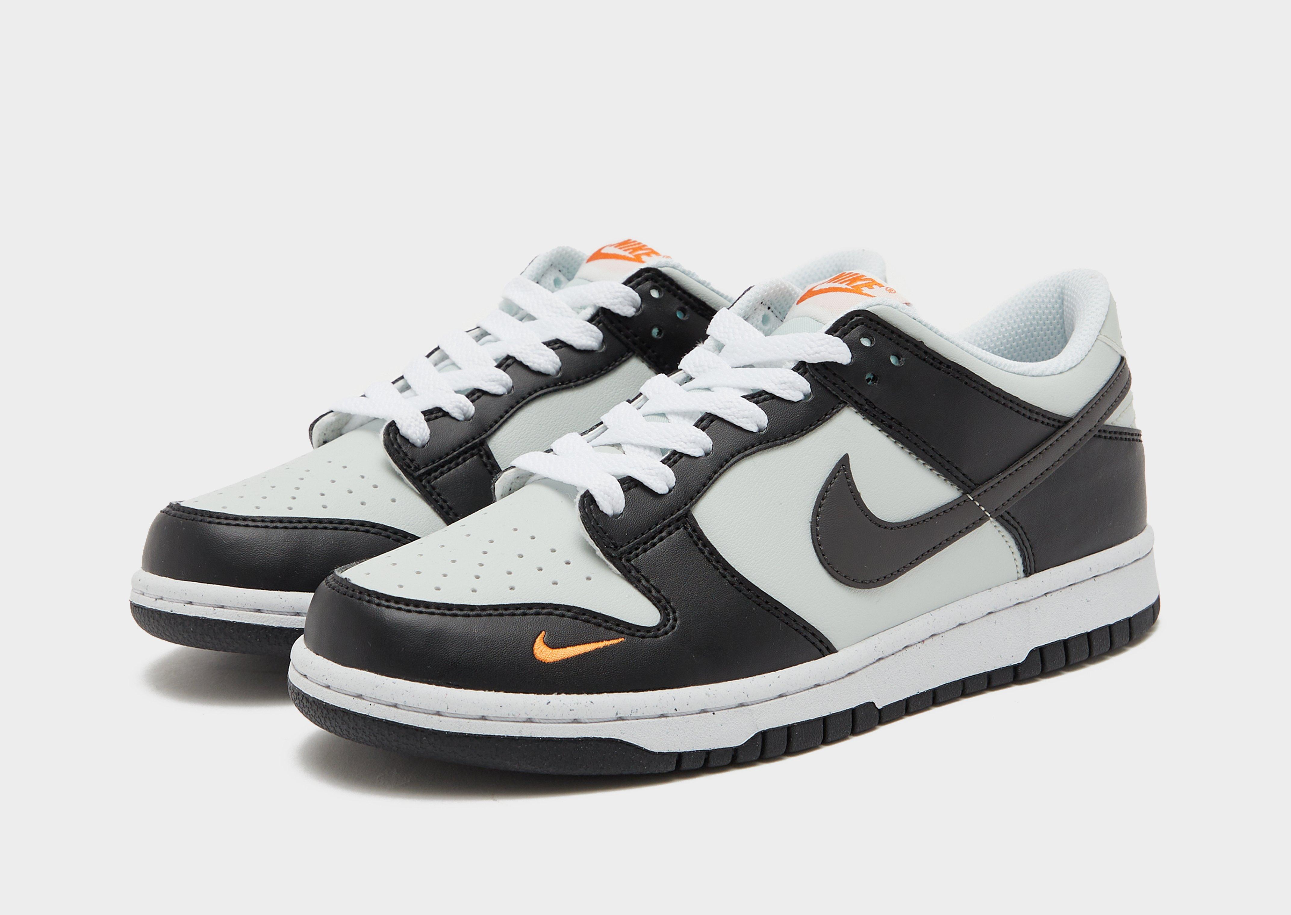 Junior shop nike dunks