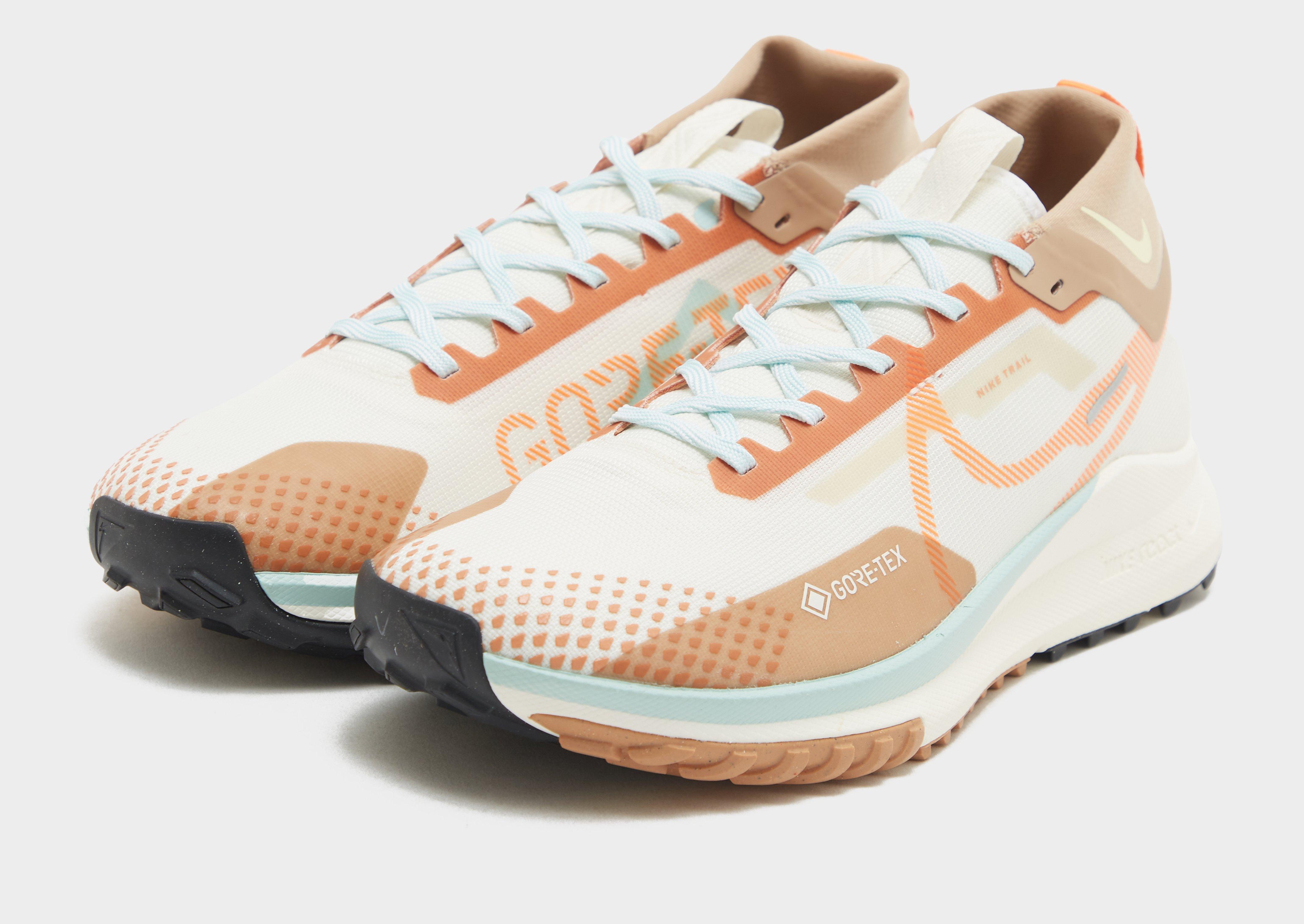 Nike Pegasus Trail 4 GORE-TEX Herr