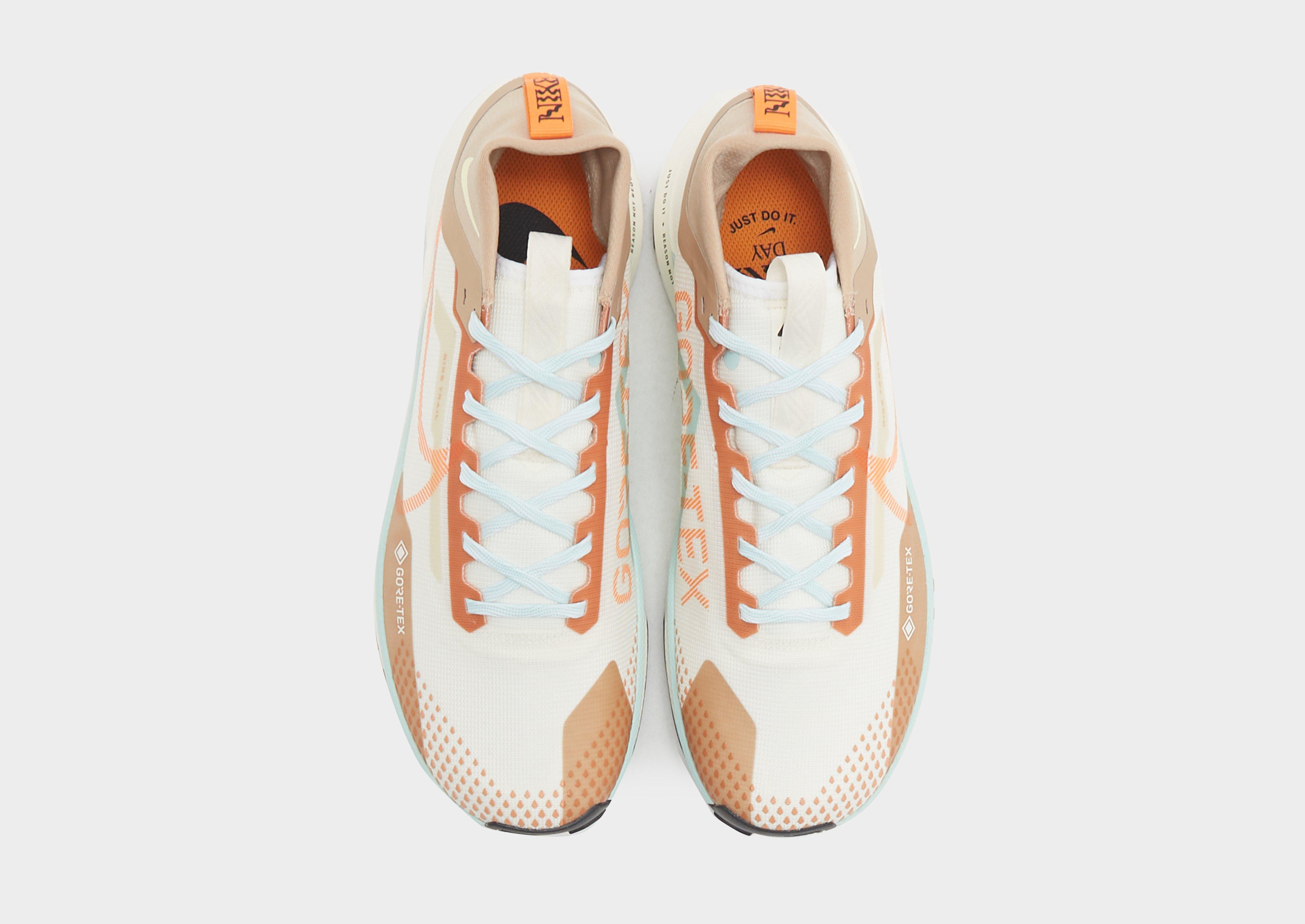 Nike Pegasus Trail 4 GORE-TEX Herr