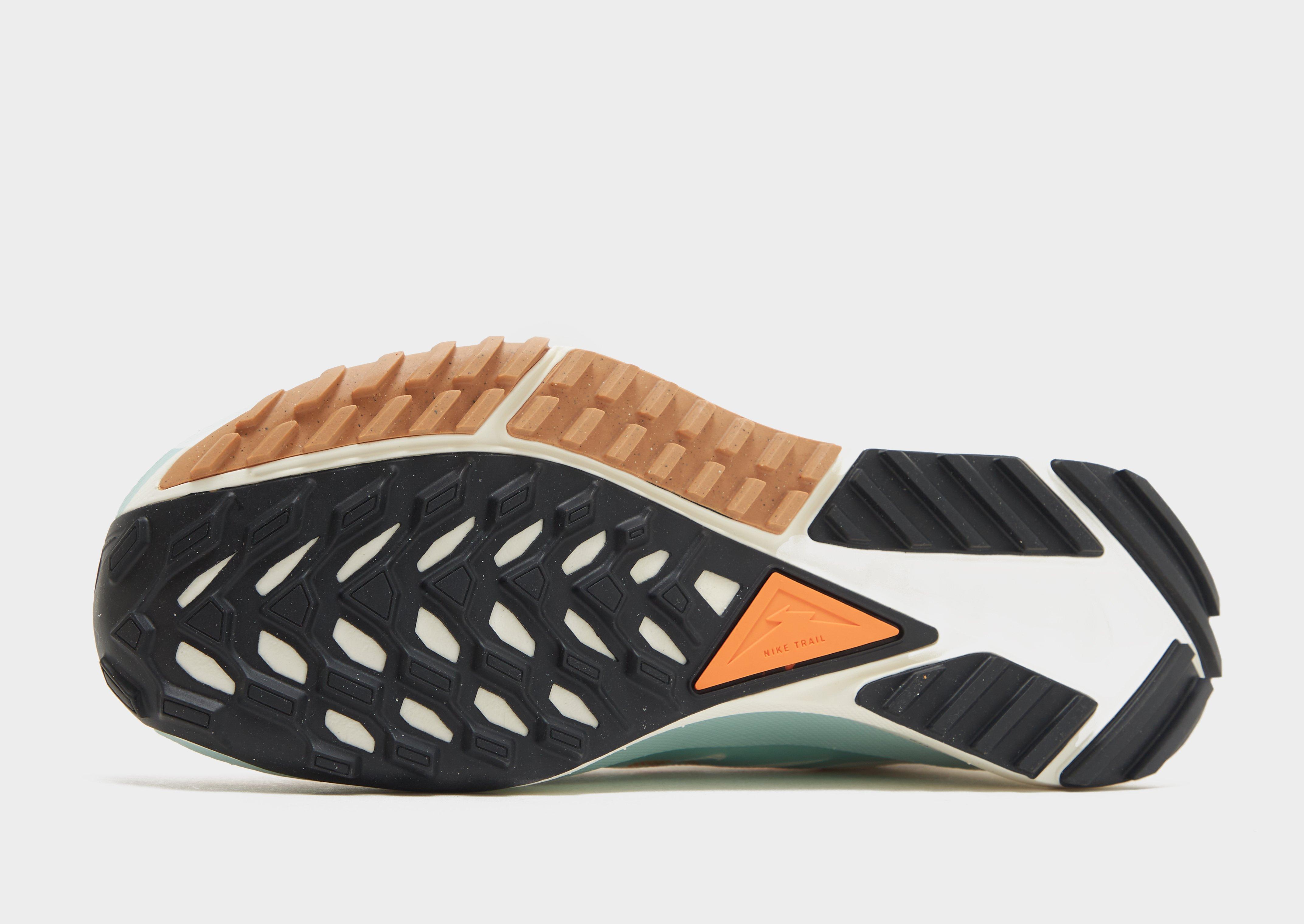 Nike Pegasus Trail 4 GORE-TEX Herr