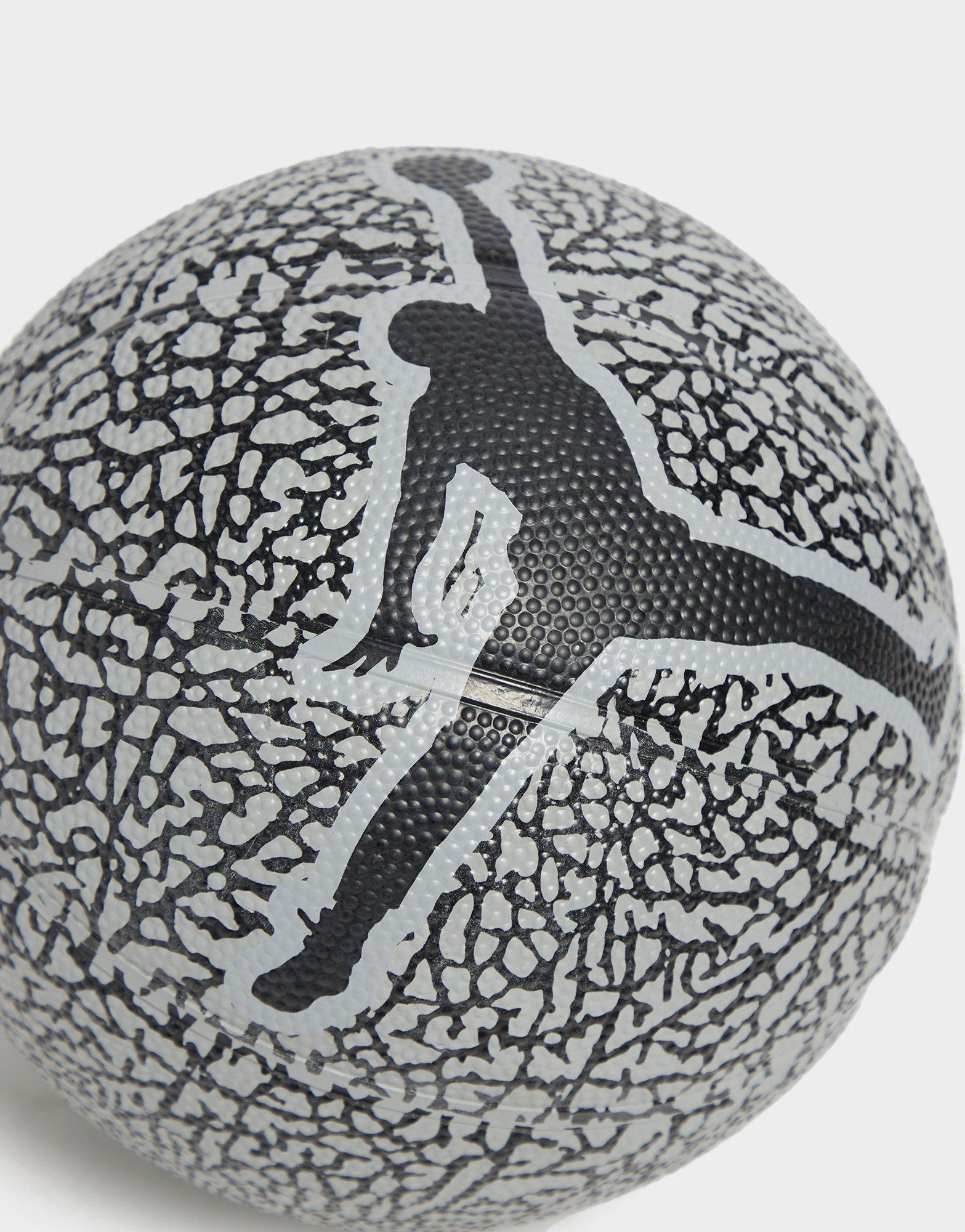 Jordan Skills Basketball