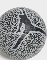 Jordan Ballon de basketball Skills