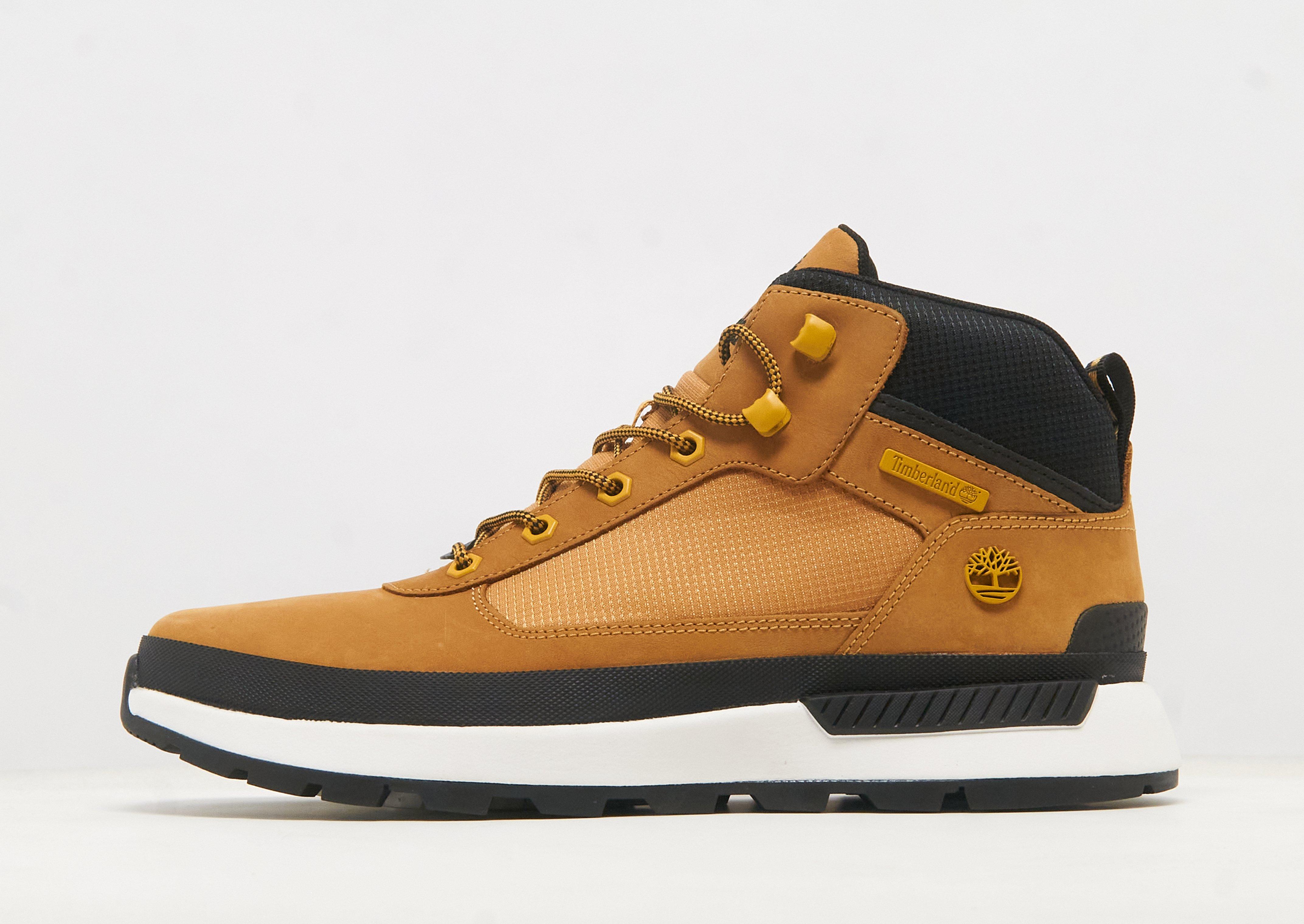 Timberland Field Trekker