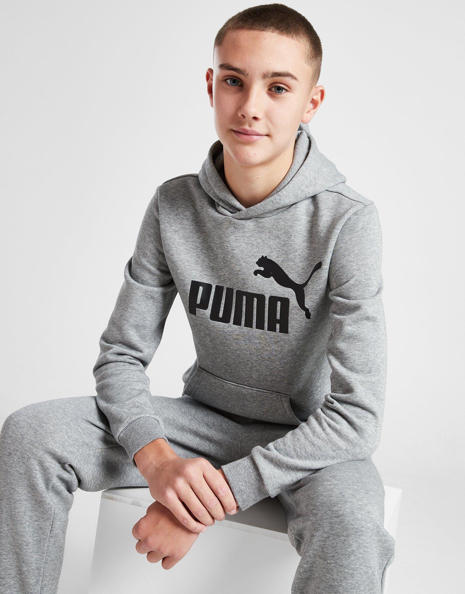 Mens grey puma clearance hoodie