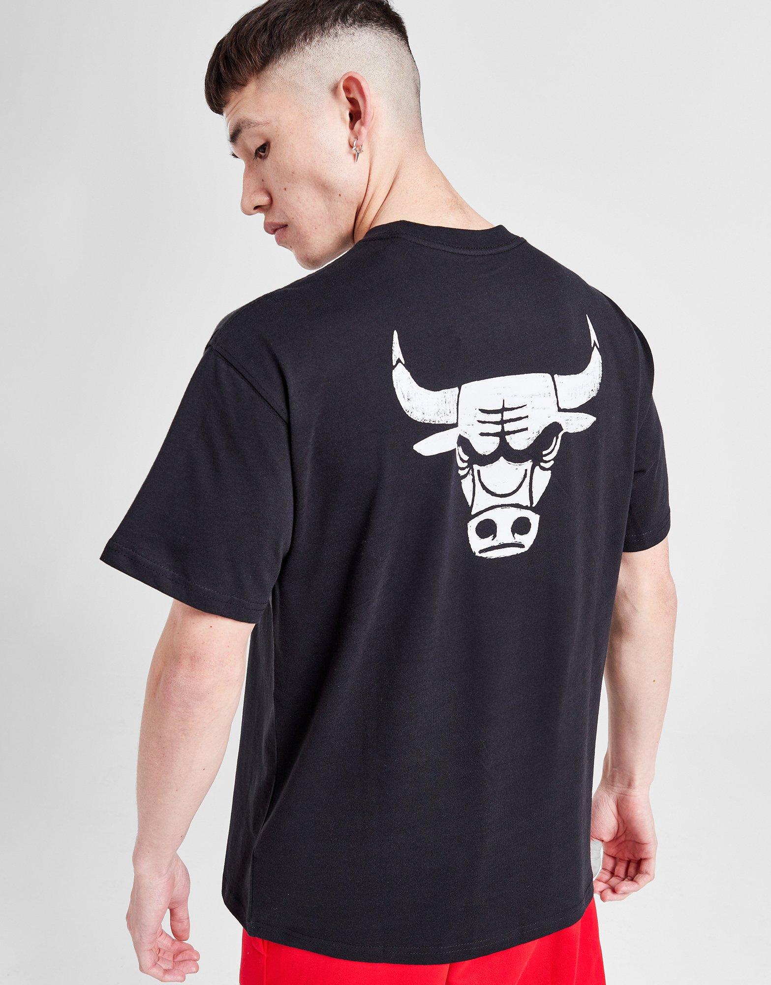 Nike NBA Chicago Bulls Max90 Logo T-Shirt