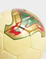 adidas Fevernova Futsal Football