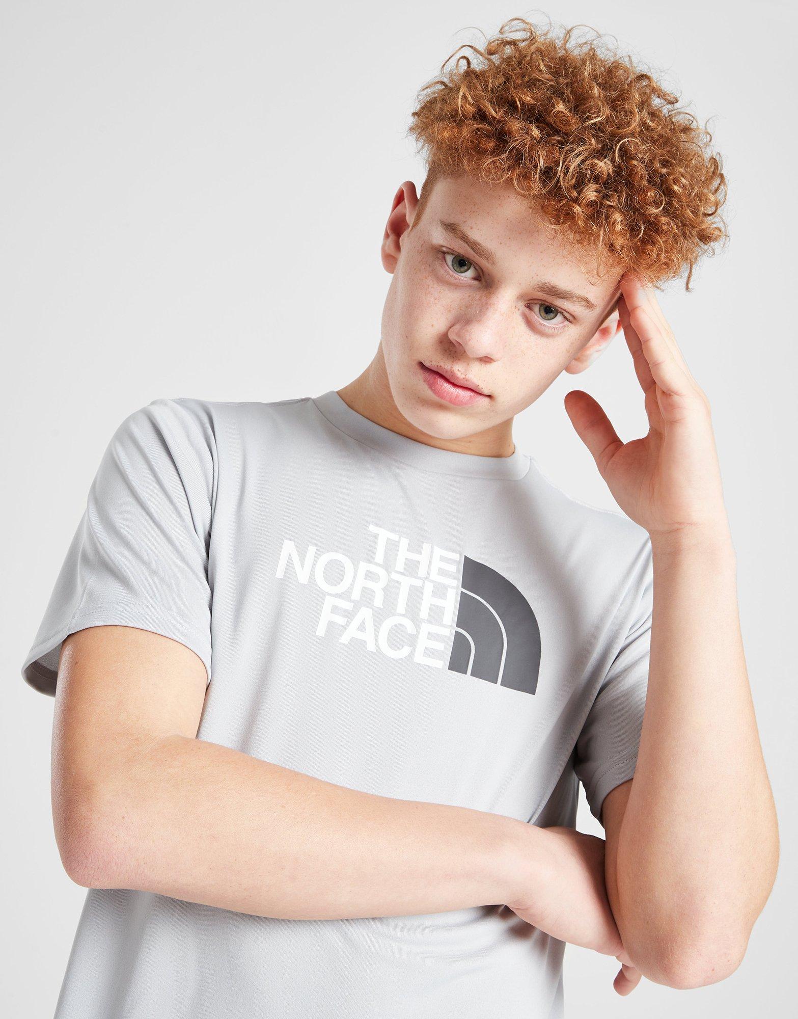 Camiseta The North Face Half Dome Tee Masculina Cinza