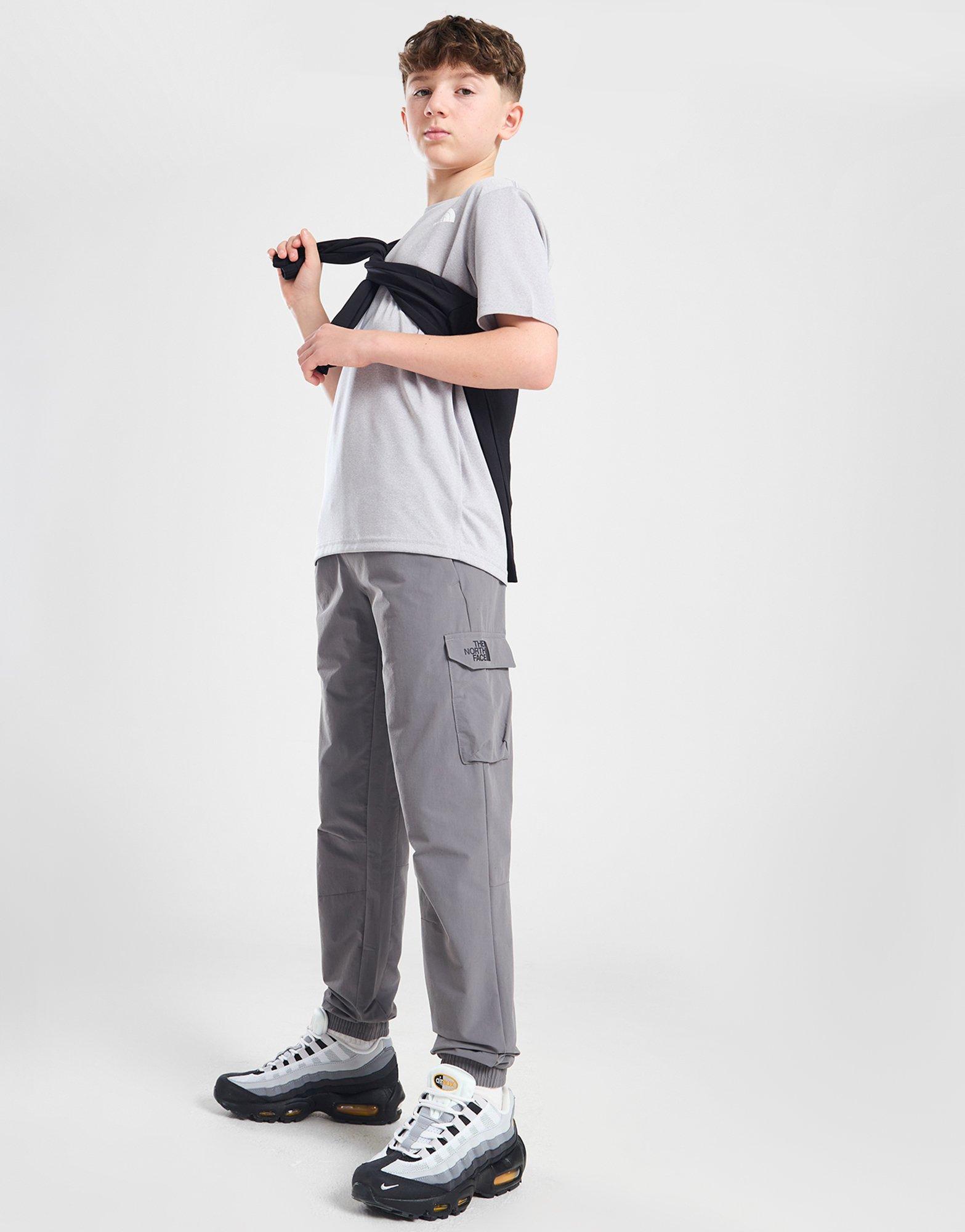 North face cargo pants hot sale grey