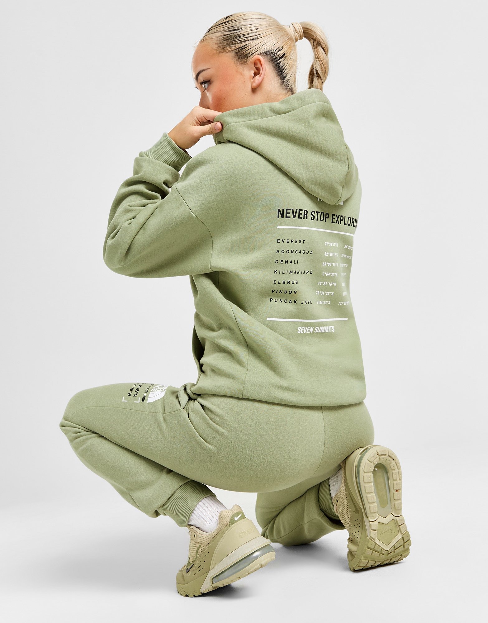 felpa montagna north face