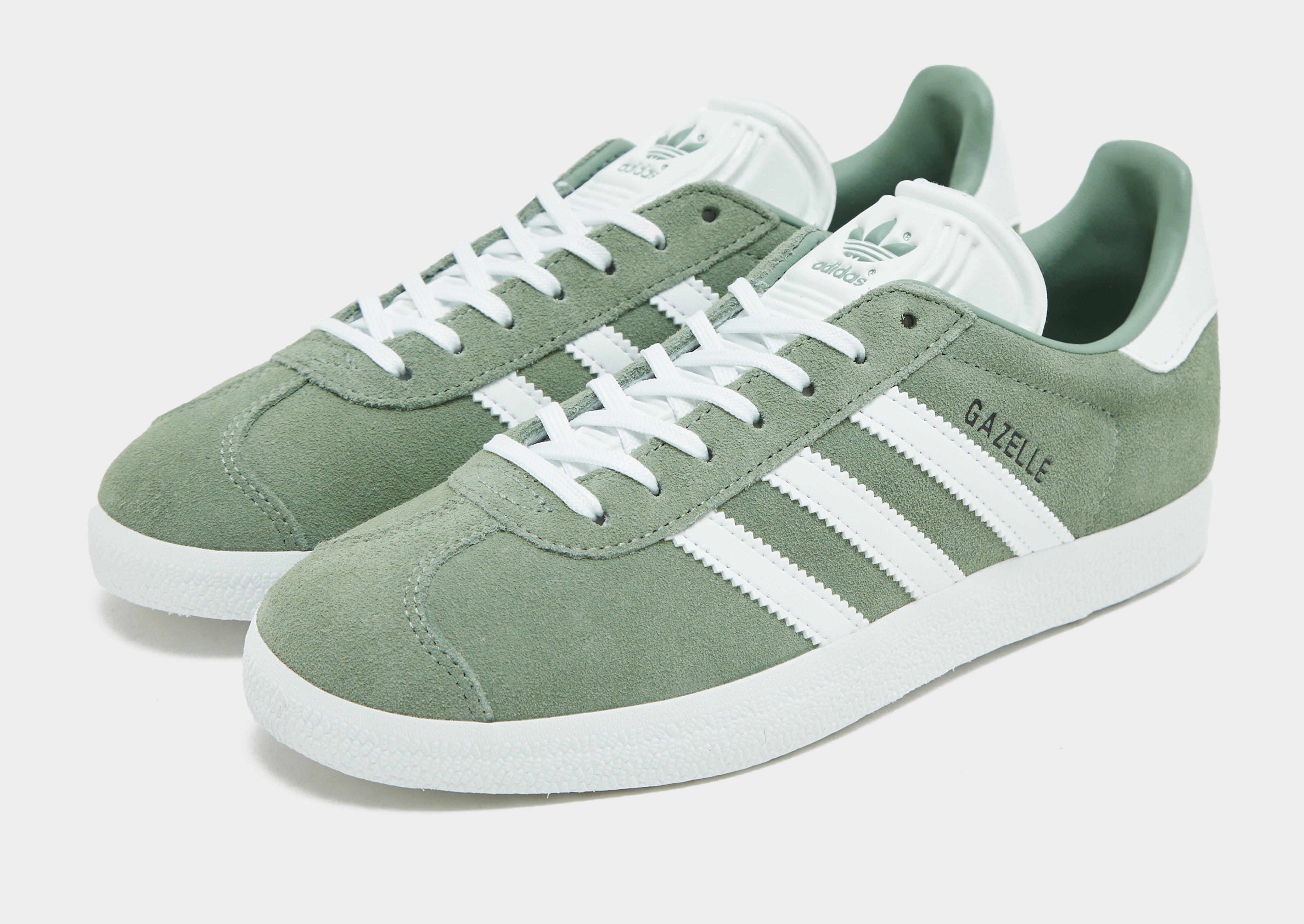 Gazelle store verde agua