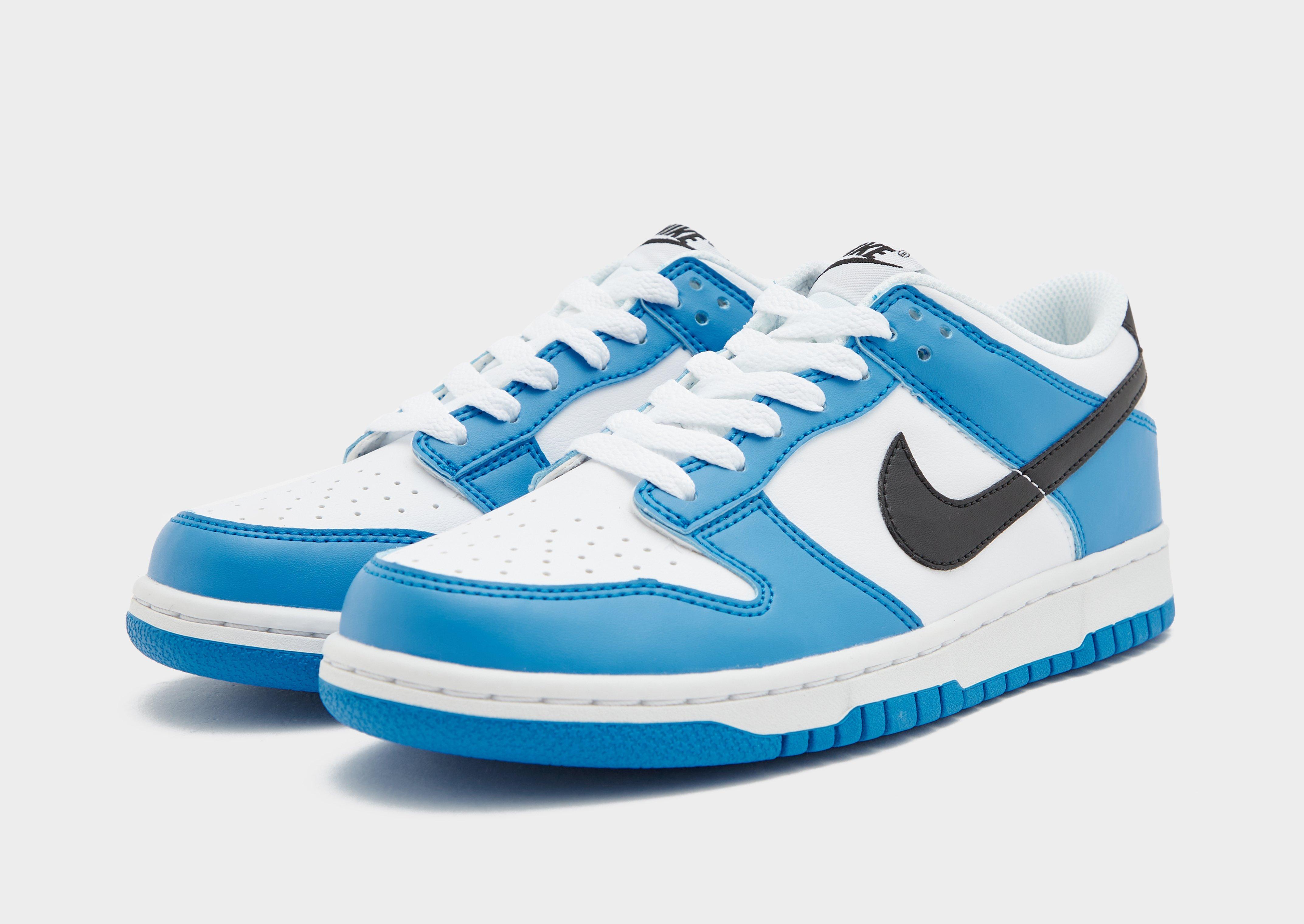 Nike Dunk Low Retro trainers in white and blue