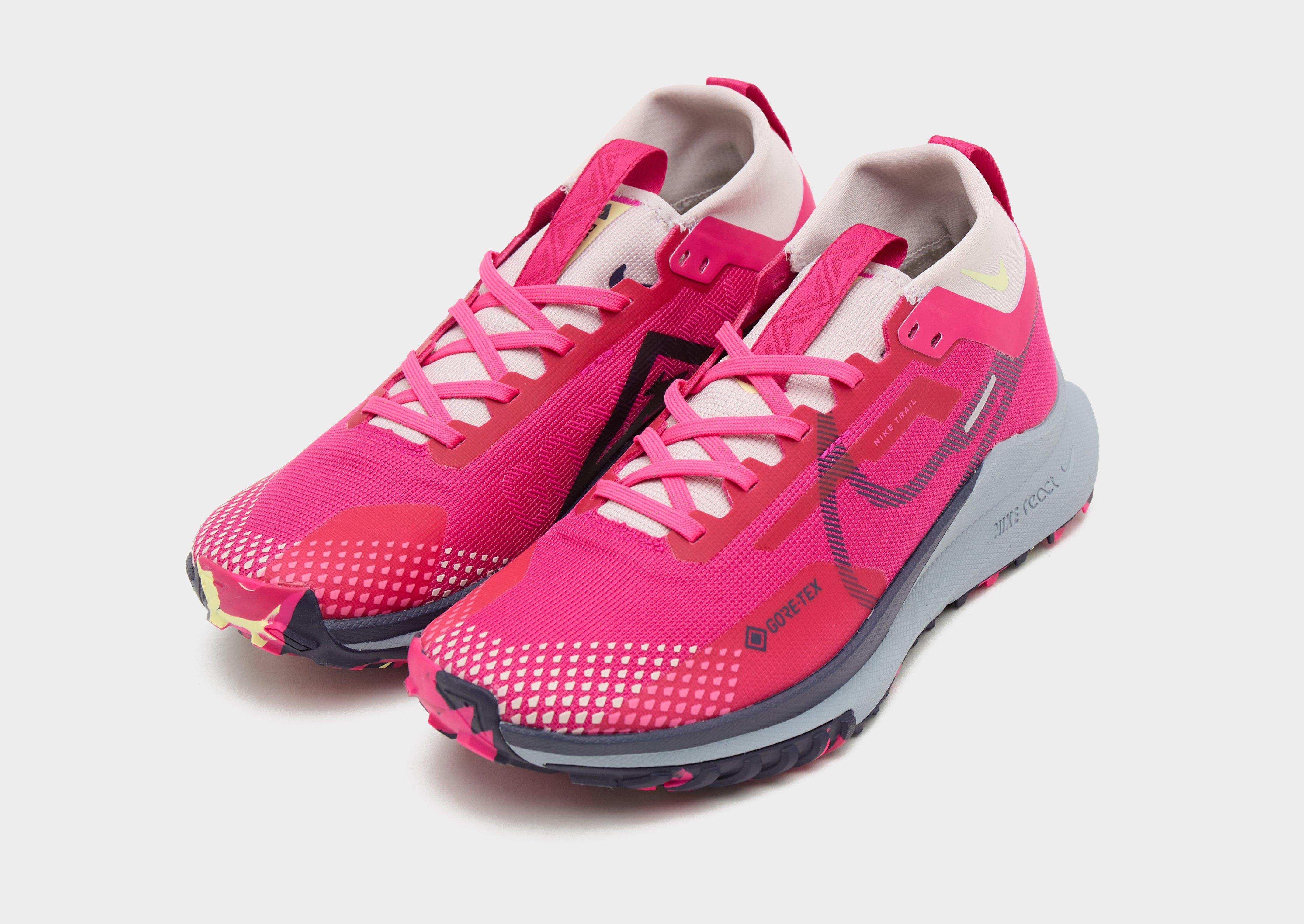 Nike Pegasus Trail 4 GORE-TEX Women's