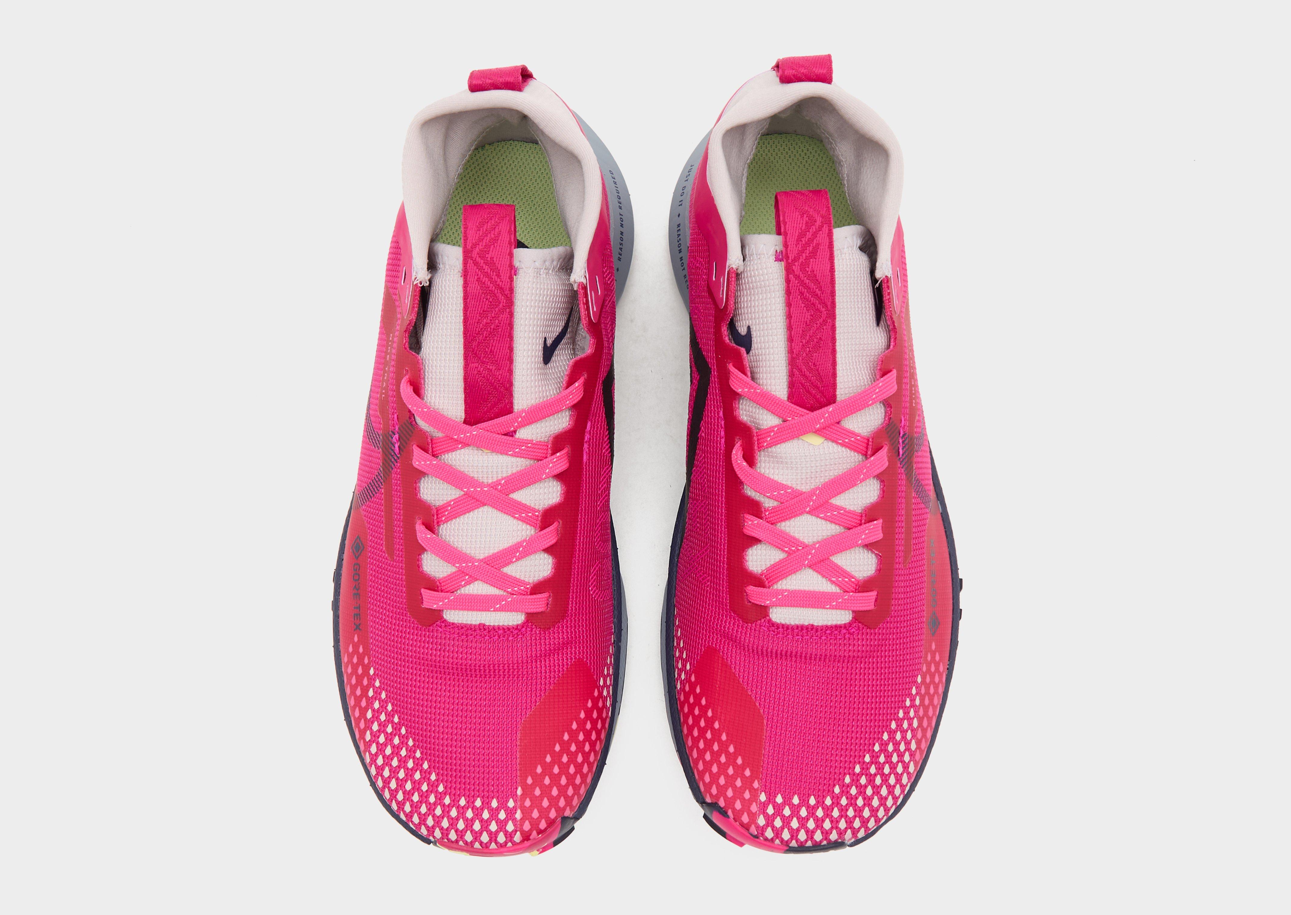 Nike Pegasus Trail 4 GORE-TEX Women's