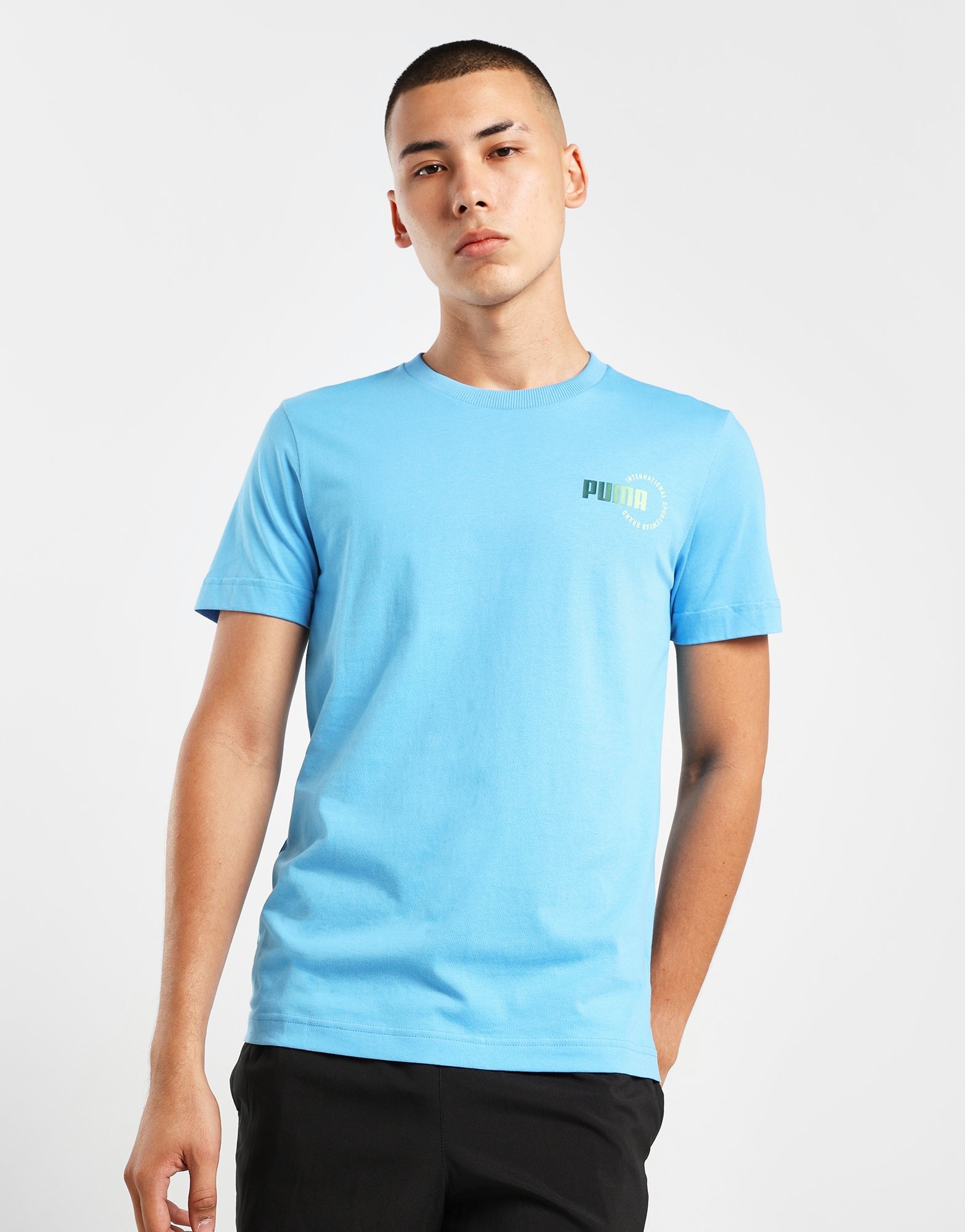 Blue Puma Logo T-Shirt - JD Sports Singapore