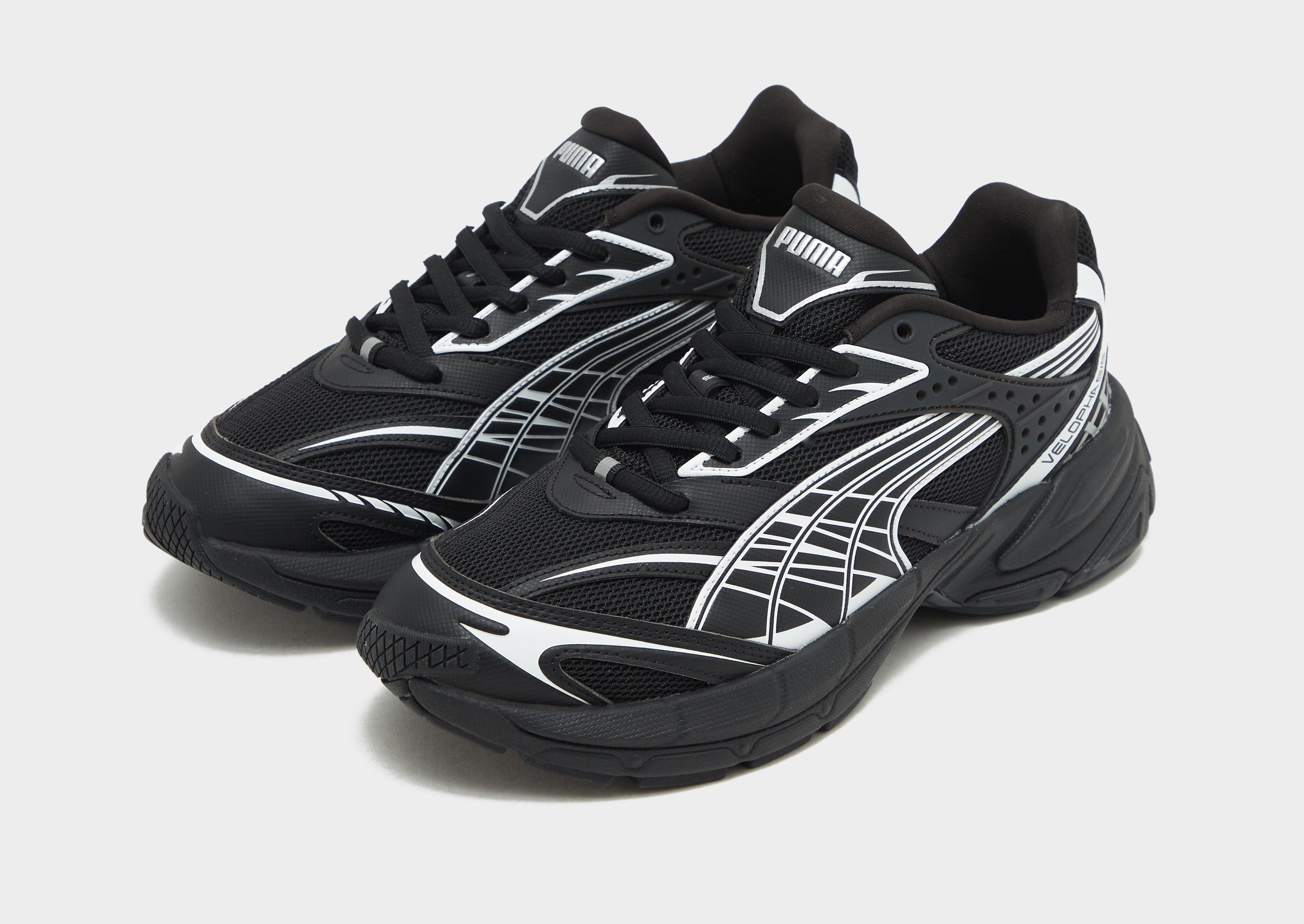 Puma Velophasis