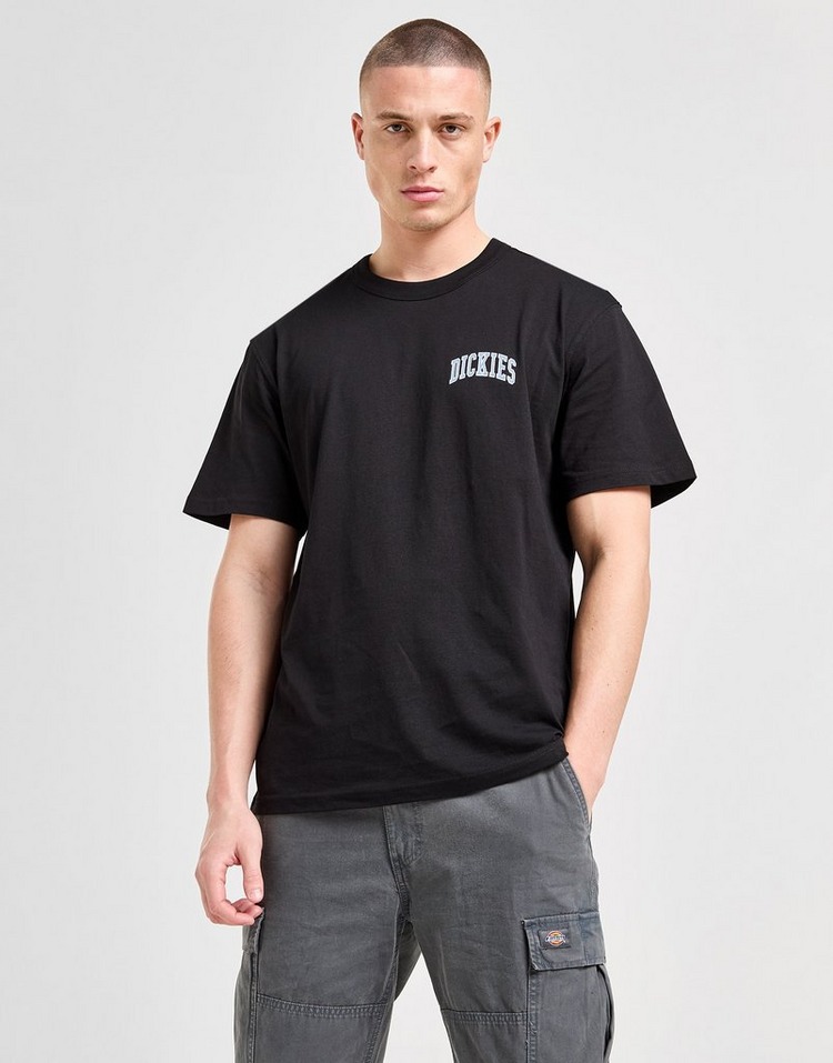 Dickies Maglia Aitkin Chest