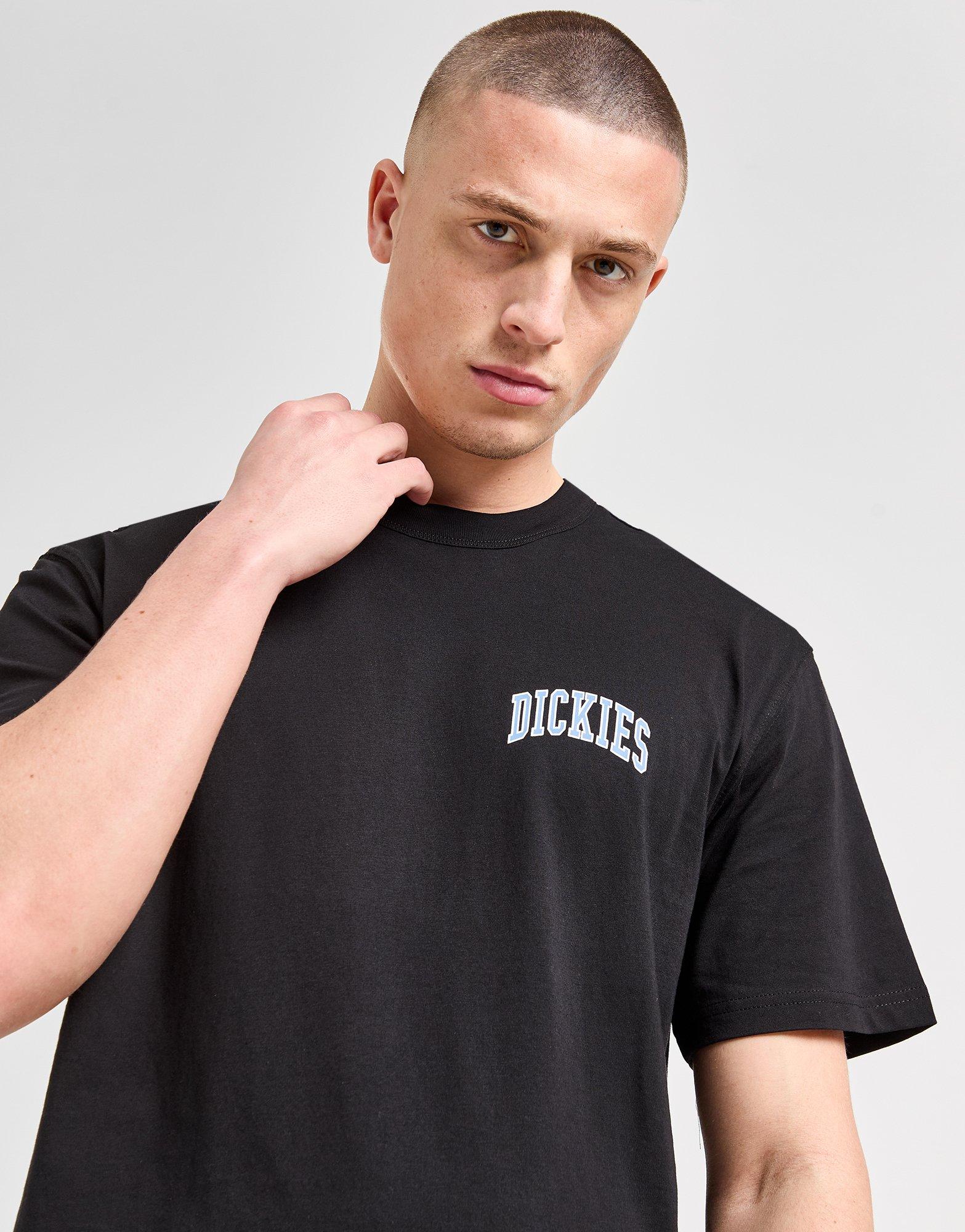 Dickies Aitkin Chest T-Shirt
