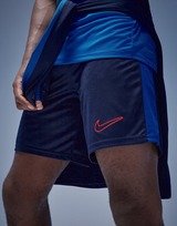 Nike Academy Shorts Herre