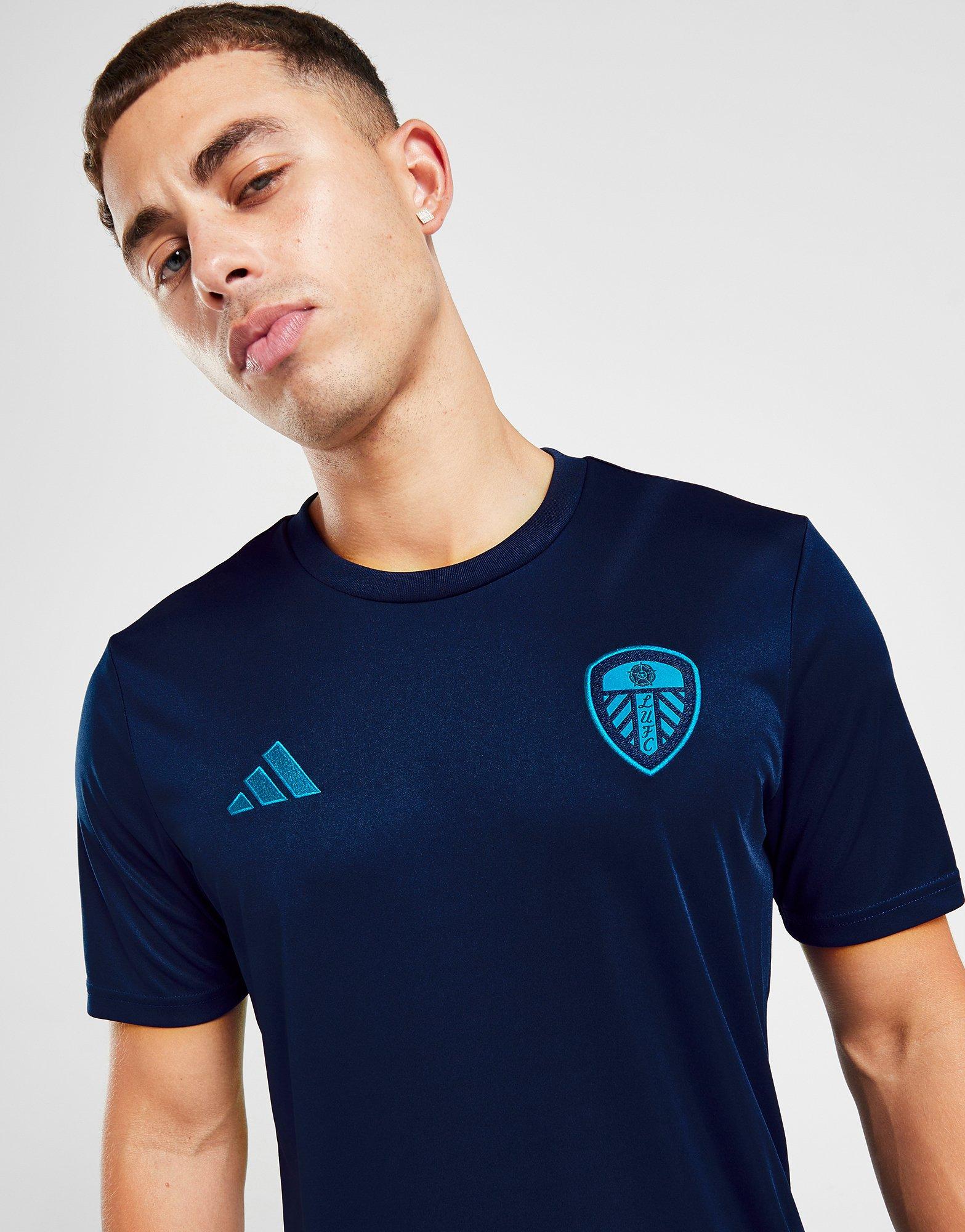 Blue on sale adidas shirt