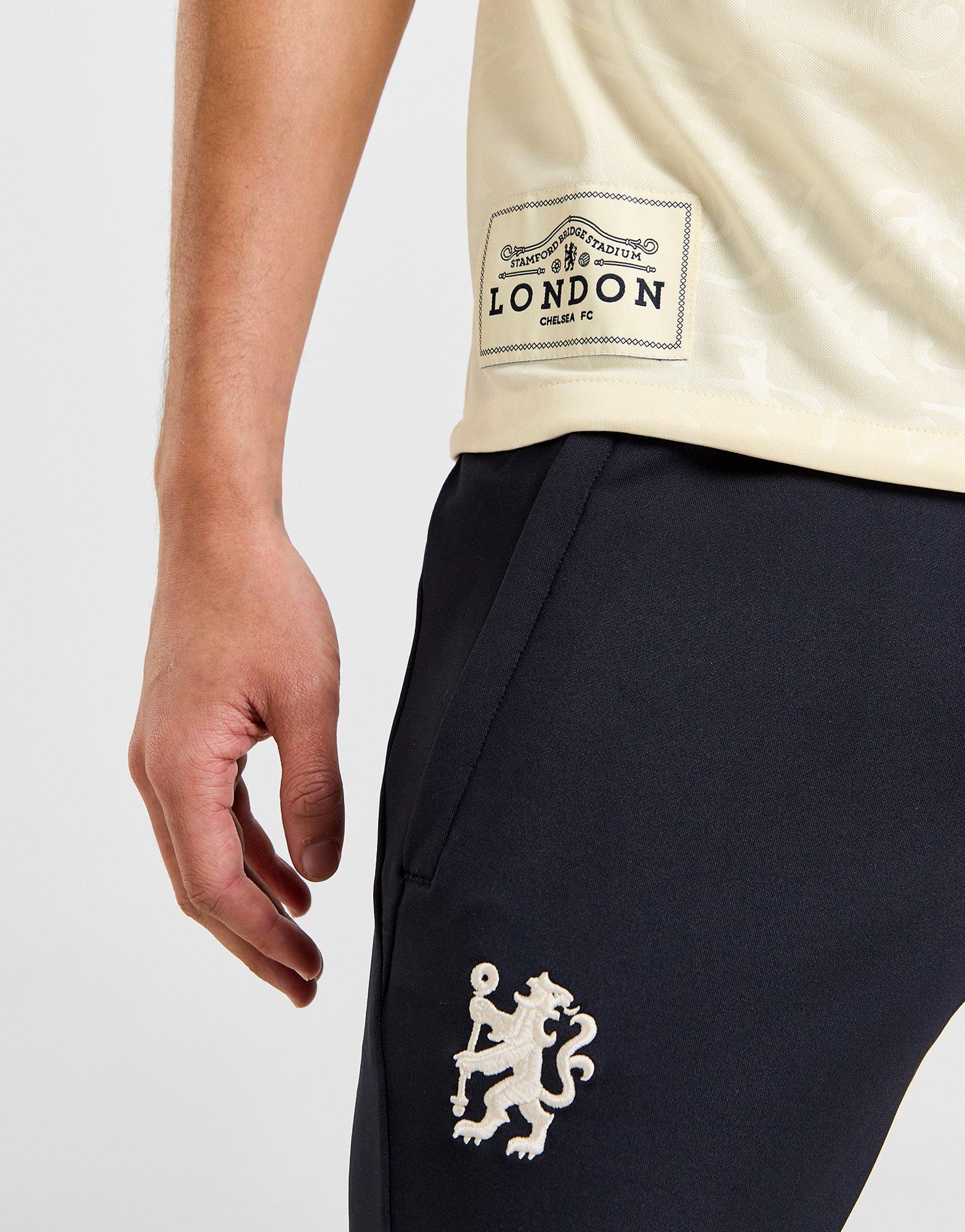 Nike Chelsea FC Pre Match Shirt