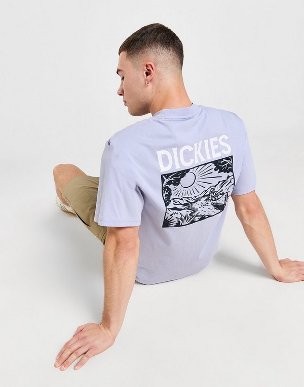 Dickies T-shirt Patrick Springs Homme