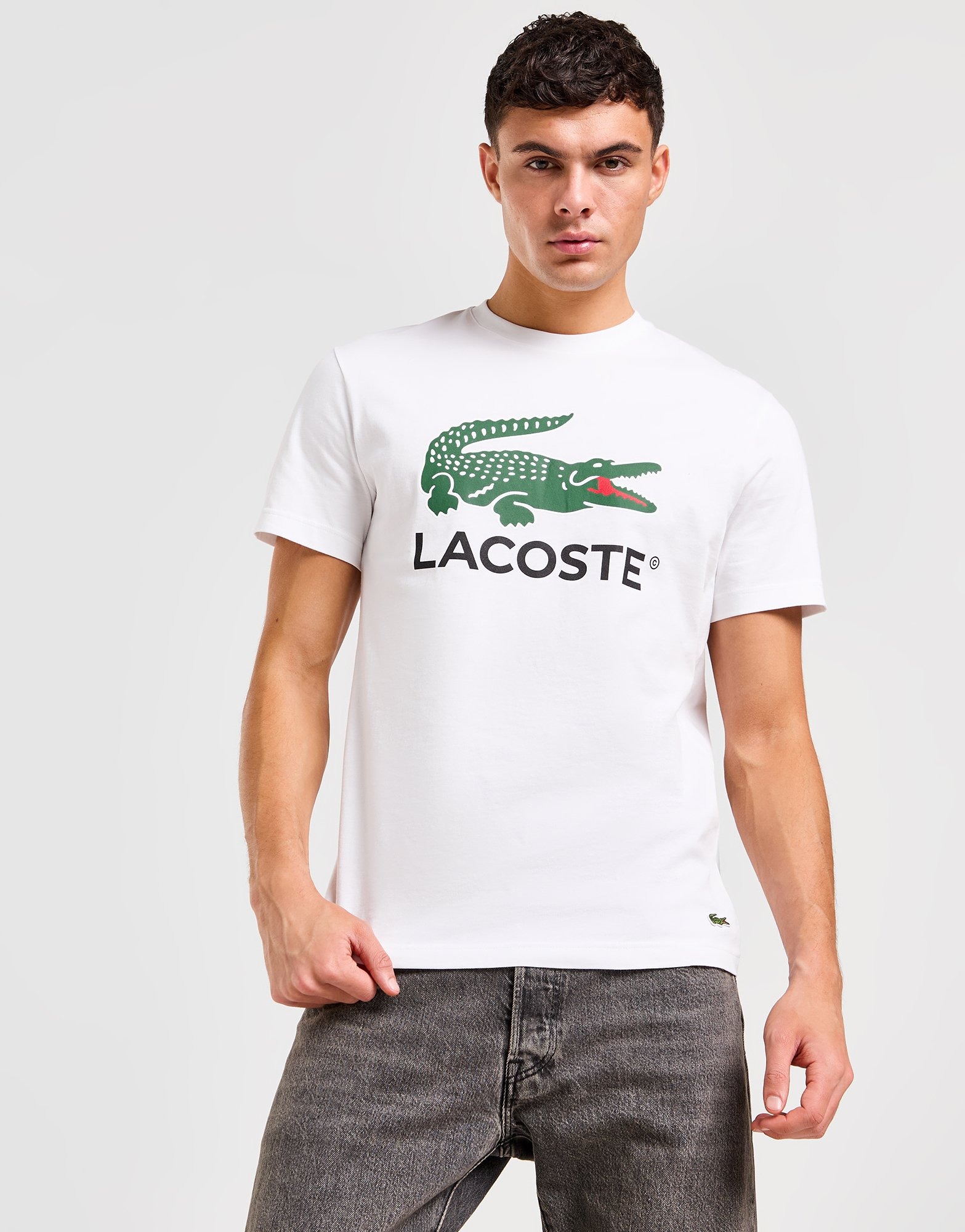 White Lacoste Large Logo T-Shirt | JD Sports UK