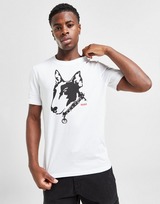 HUGO T-shirt Dammock Dog Homme