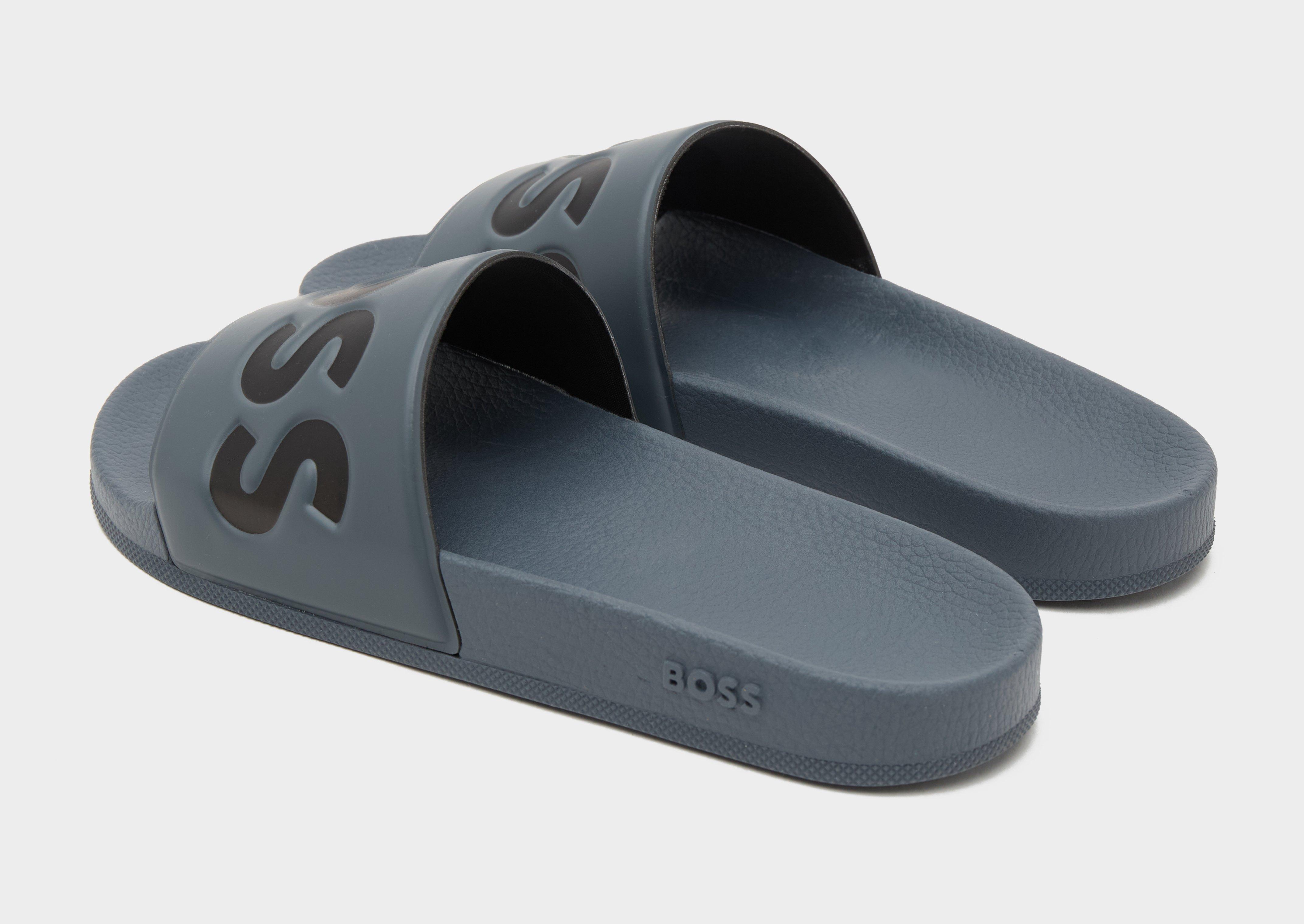 BOSS Aryeh Slides
