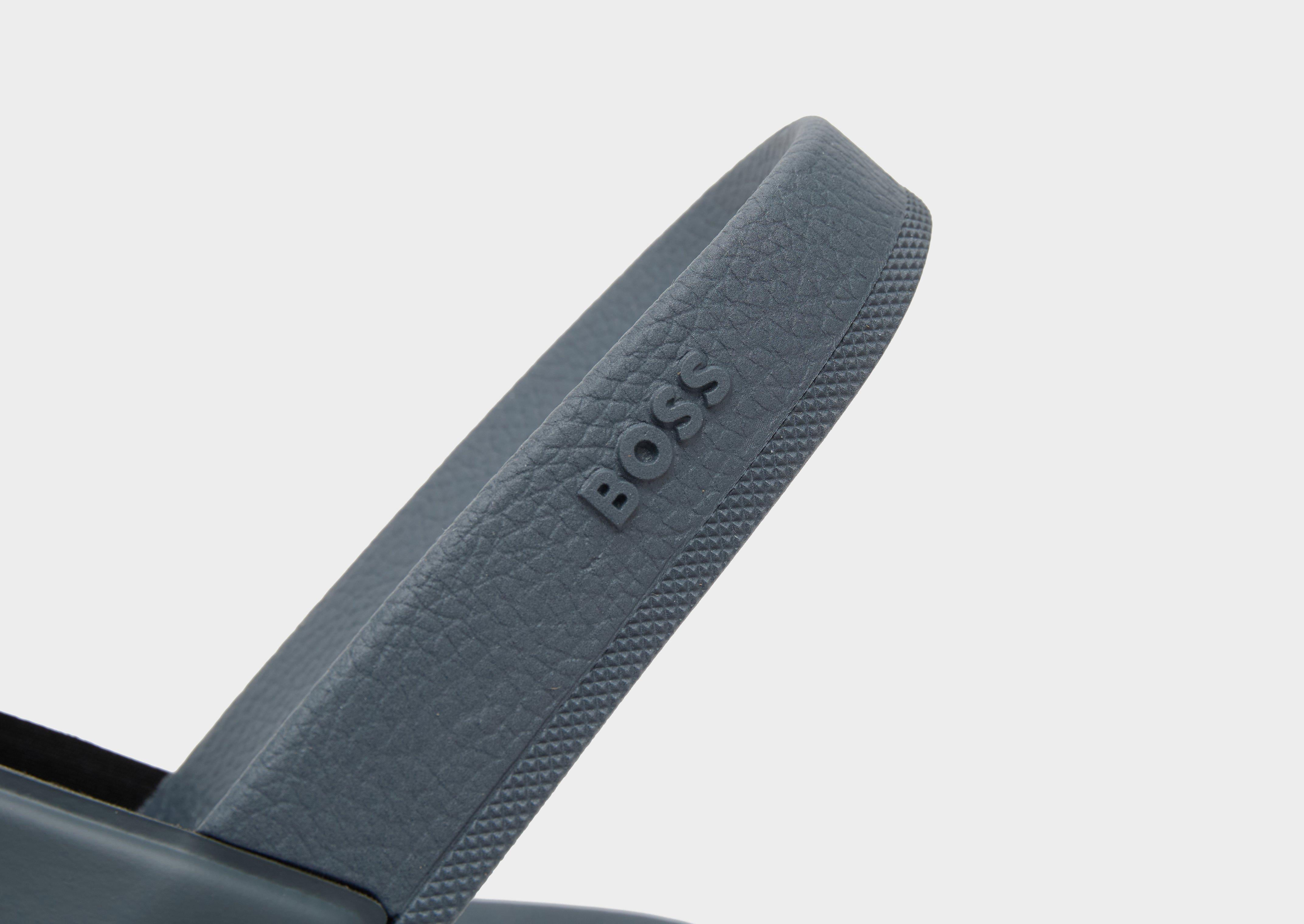 BOSS Aryeh Slides