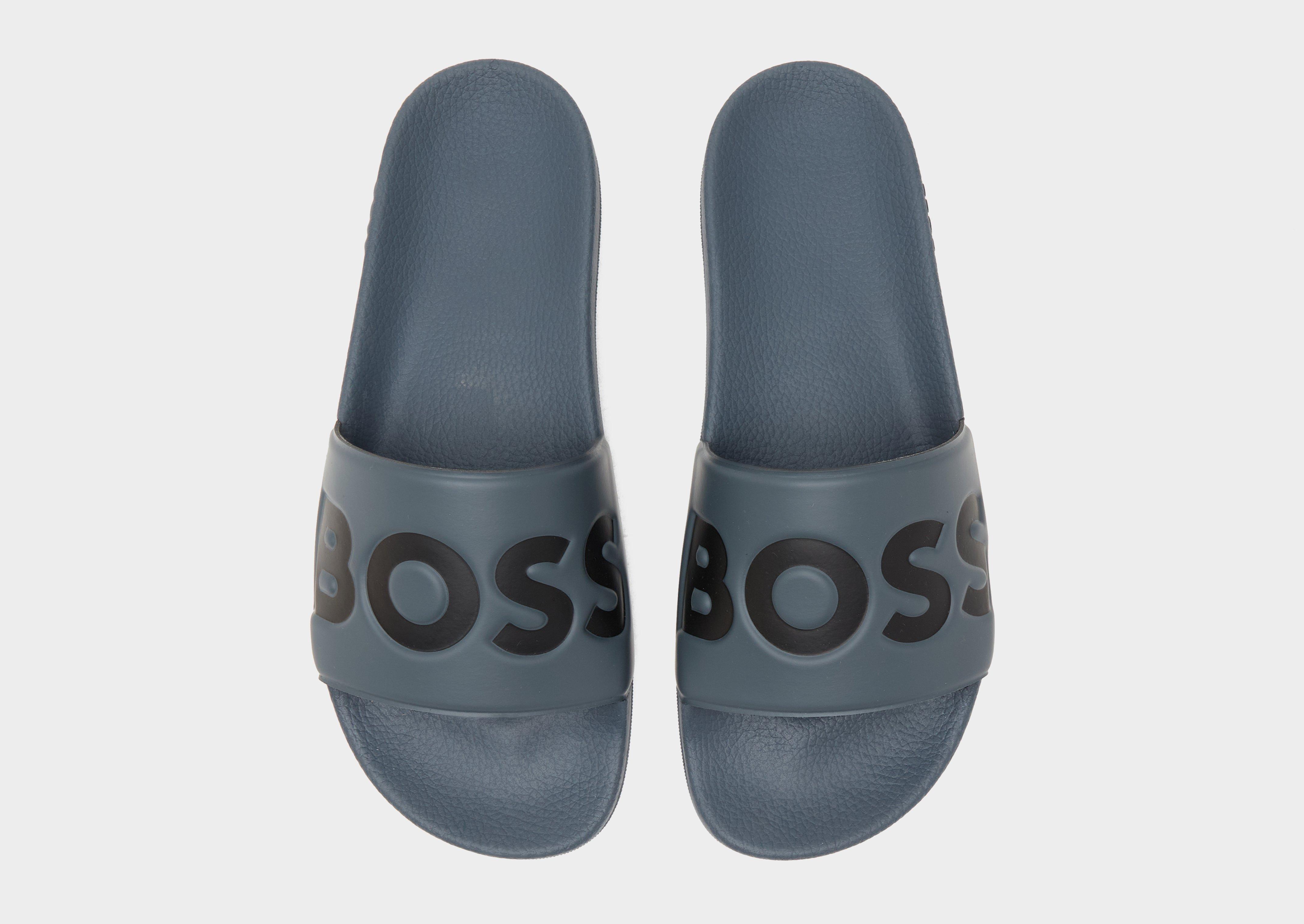 BOSS Aryeh Slides