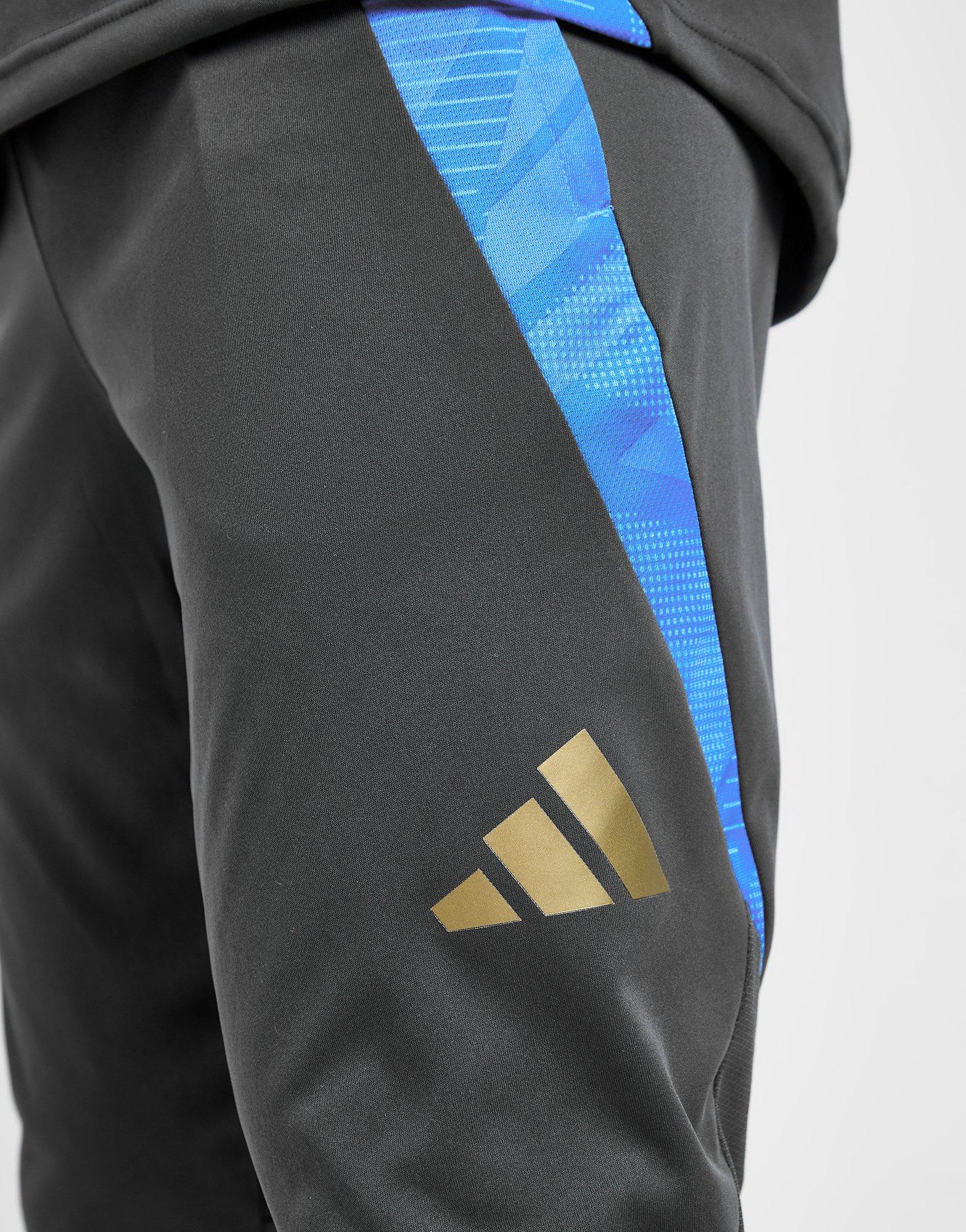 adidas Argentina Tiro 24 Training Pants
