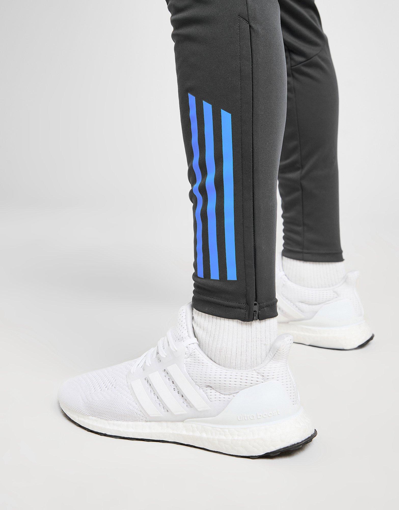 adidas Argentina Tiro 24 Training Pants