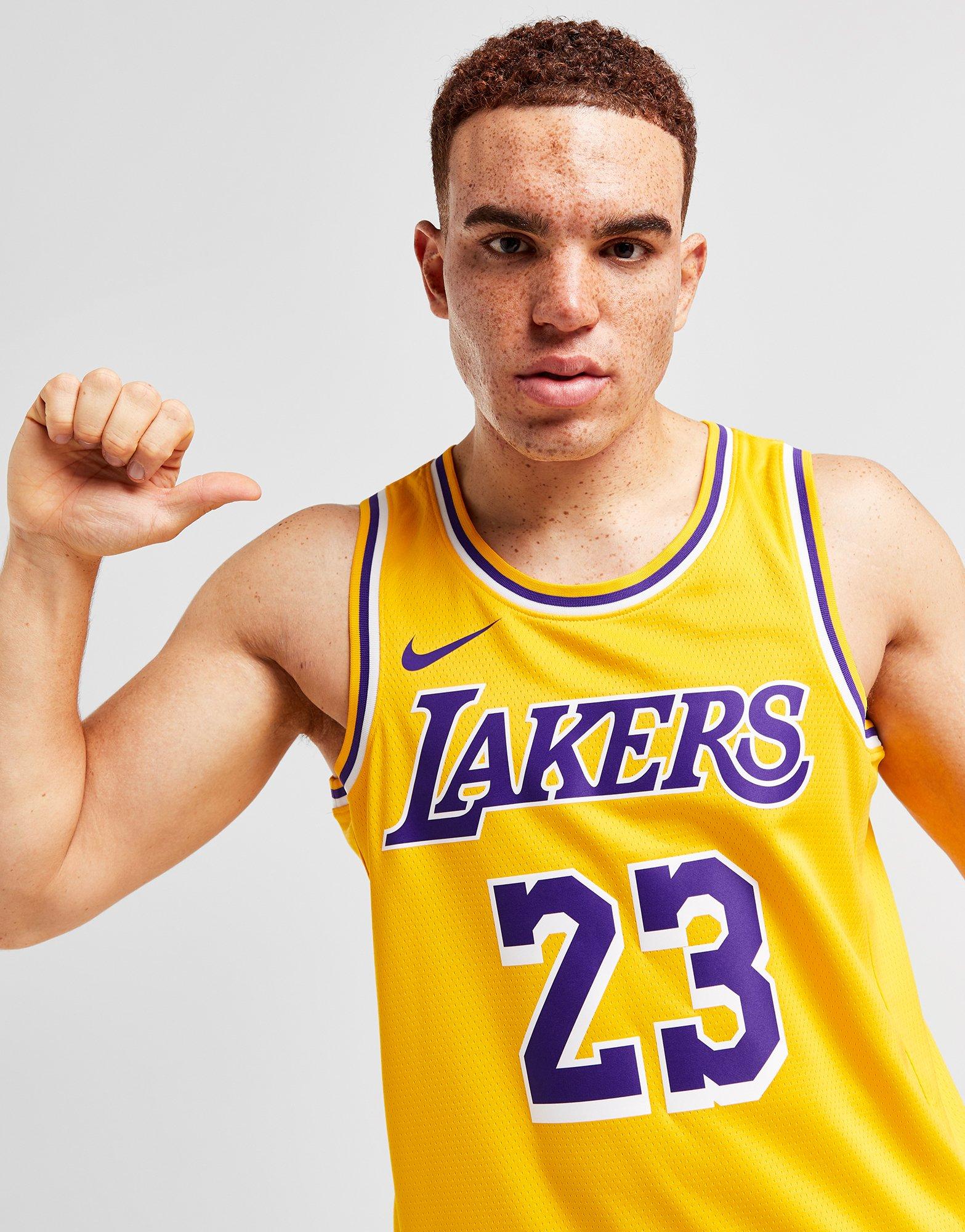 Nike NBA LA Lakers James #23 Icon Jersey