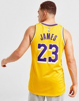 Nike NBA LA Lakers James #23 Icon Jersey