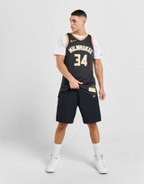 Nike NBA Milwaukee Bucks Antetokounmpo #34 Jersey