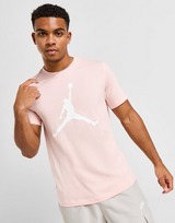 Jordan camiseta Large Logo