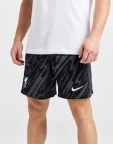 Nike Liverpool FC 2024/25 Torwart Shorts