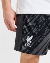 Nike Liverpool FC 2024/25 Torwart Shorts