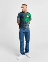 Nike Camiseta Nigeria Pre Match