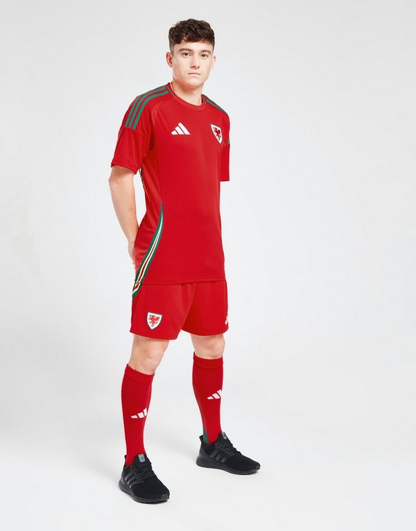 adidas Wales 2024 Heim Shorts