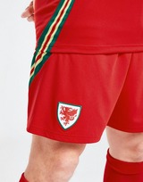 adidas Short Pays de Galles 2024 Match Domicile Homme