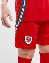 adidas Short Pays de Galles 2024 Match Domicile Femme